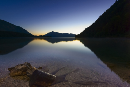 Bild-Nr: 11073739 Walchensee Treibholz Erstellt von: DenisFeiner