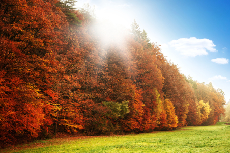 Bild-Nr: 11077451 Herbstlandschaft Erstellt von: spima