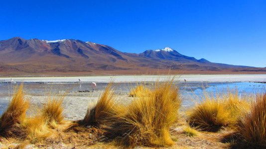 Bild-Nr: 11089955 Altiplano Lagune Erstellt von: Galactico89
