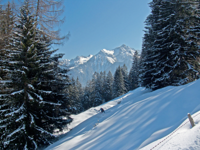 Bild-Nr: 11091335 Einsamer Skifahrer Erstellt von: ludowika