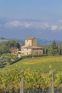 Bild-Nr: 11103133 Weingut im Chianti Erstellt von: EderHans