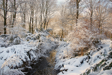 Bild-Nr: 11105359 Winter im Park Erstellt von: Atteloi