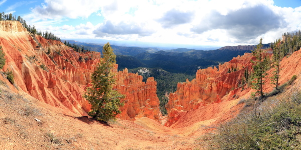 Bild-Nr: 11111127 Bryce Canyon Erstellt von: fotoping