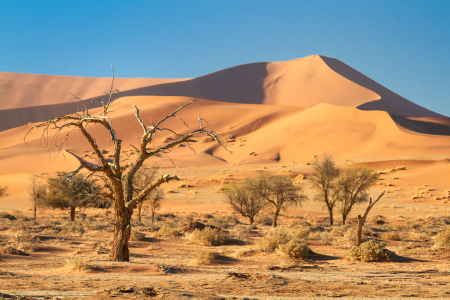 Bild-Nr: 11116969 Wüste Namib Erstellt von: Gerlinde Klust