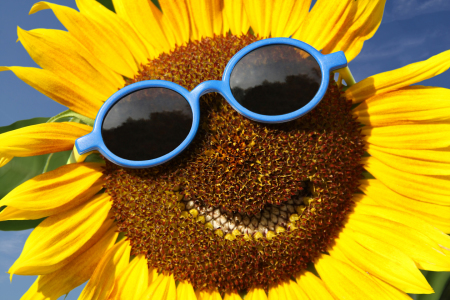 Bild-Nr: 11126462 Smiling Erstellt von: Terra-one
