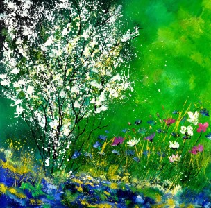 Bild-Nr: 11127408 seringa 88 Erstellt von: Pol Ledent