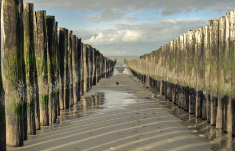 Bild-Nr: 11139040 Nordsee Erstellt von: agoebels