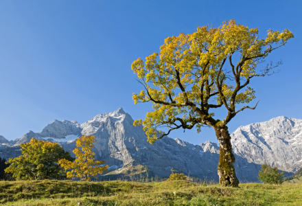 Bild-Nr: 11139552 Herbst am Großen Ahornboden Erstellt von: EderHans