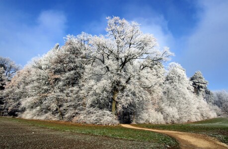 Bild-Nr: 11140176 Winterzauber Erstellt von: brunosch