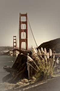 Bild-Nr: 11142006 SAN FRANCISCO Golden Gate Bridge Erstellt von: Melanie Viola
