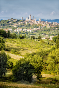 Bild-Nr: 11143558 San Gimignano Erstellt von: Wolfgang Zwanzger