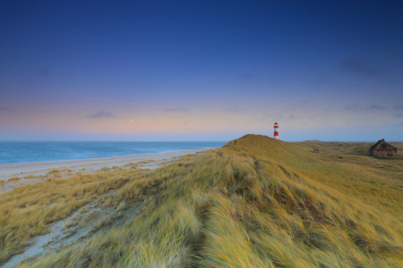 Bild-Nr: 11156226 Sylt Dünenlandschaft Erstellt von: HaddockHL