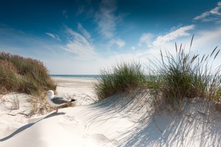 Bild-Nr: 11158036 Sylt - On the beach Erstellt von: Reiner Würz