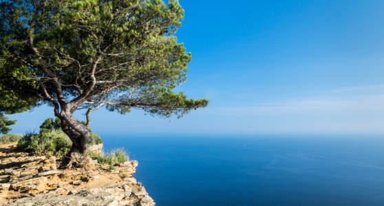 Bild-Nr: 11165074 Côte d’Azur Erstellt von: BJF