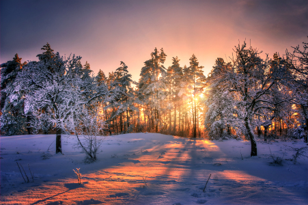 Bild-Nr: 11165922 Winterabend Erstellt von: Steffen Gierok