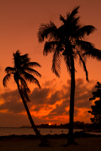 Bild-Nr: 11166978 Sunset Key West Erstellt von: newkiwi