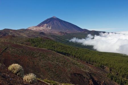 Bild-Nr: 11172142 Teide - Teneriffa Erstellt von: Anja Schäfer