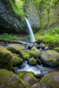 Bild-Nr: 11172334 Waterfall in Rainforest Erstellt von: StefanLindlPhotography
