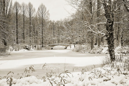 Bild-Nr: 11174618 Winter im Park Erstellt von: Atteloi