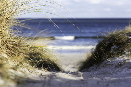 Bild-Nr: 11178442 Strand mit Düne III Erstellt von: timeshift