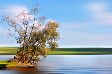 Bild-Nr: 11178492 Sommer an der Havel  Erstellt von: Atteloi