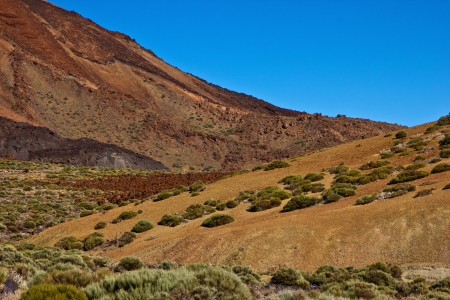 Bild-Nr: 11180304 Landschaft im Nationalpark Teide 14 Erstellt von: Anja Schäfer