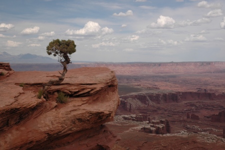 Bild-Nr: 11183374 Canyonlands NP Erstellt von: Secheln