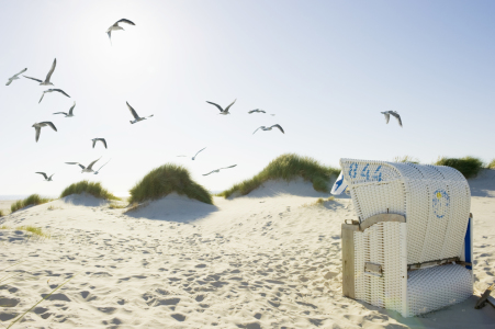 Bild-Nr: 11184102 Strandkorb und Möwen Erstellt von: danielschoenen