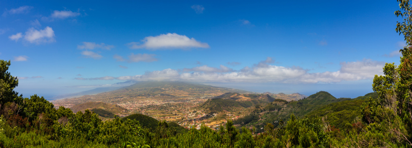 Bild-Nr: 11185432 Teneriffa Erstellt von: orcinus