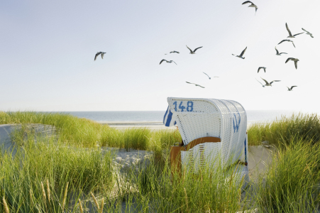 Bild-Nr: 11185752 Strandkorb in den Dünen Erstellt von: danielschoenen