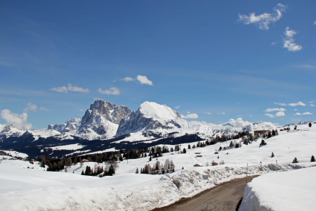 Bild-Nr: 11192408 Langkofel, Plattkofel, Seiser Alm, Dolomiten, Südtirol, Italien Erstellt von: manza