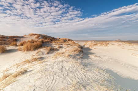 Bild-Nr: 11192652 Dünen und Meer Erstellt von: Nordbilder