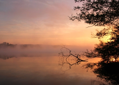 Bild-Nr: 11195662 Magic sunrise Erstellt von: brunosch