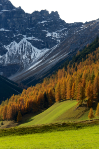 Bild-Nr: 11196412 Herbst im Gebirge Erstellt von: laroche