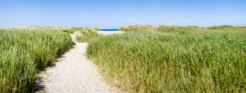 Bild-Nr: 11196668 Weg zum Strand Erstellt von: Angelika Stern