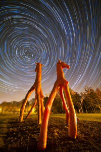 Bild-Nr: 11199254 Giraffen-Spuren Erstellt von: christoph-otawa