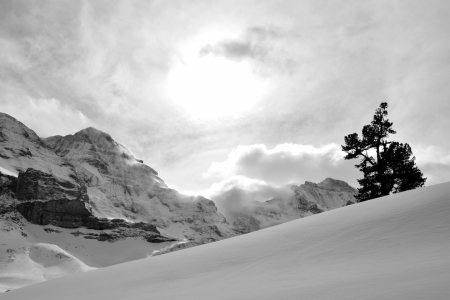 Bild-Nr: 11200234 Wolkenspiel Erstellt von: Bettina Schnittert