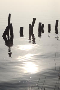 Bild-Nr: 11200832 Pfähle im Wasser Erstellt von: dresdner