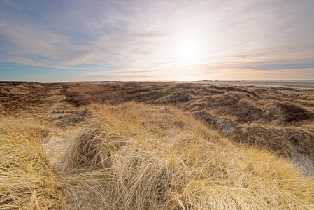 Bild-Nr: 11201860 Dünen mit Weitblick Erstellt von: Nordbilder