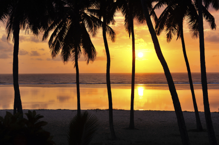 Bild-Nr: 11203454 Sonnenuntergang am verträumten Strand mit Palmen Erstellt von: KundenNr-160338