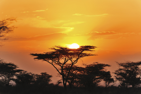 Bild-Nr: 11204526 Sonnenuntergang Afrika Erstellt von: KundenNr-160338