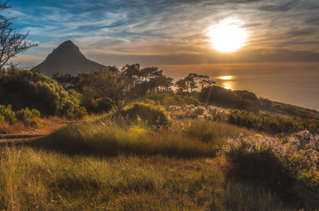 Bild-Nr: 11207302 Lions Head Erstellt von: Photomomentum