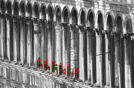 Bild-Nr: 11207946 Fassade mit Blumen in Venedig Erstellt von: Buellom