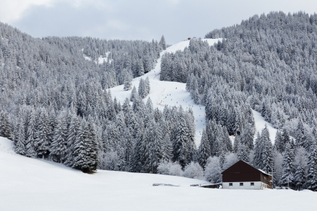 Bild-Nr: 11209930 Grasgehren im Allgäuer Winter Erstellt von: TomKli