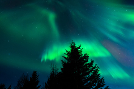 Bild-Nr: 11212646 Polarlichter auf den Lofoten Erstellt von: stefanschurr