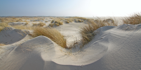 Bild-Nr: 11215742 Amrum 9530 Erstellt von: JensOschmann