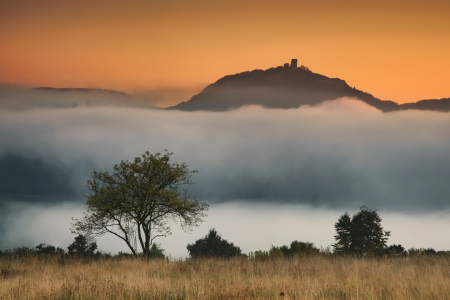 Bild-Nr: 11232808 Drachenfels im Nebel Erstellt von: der-rheinlaender