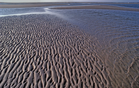 Bild-Nr: 11233304 Wattenmeer auf Norderney Erstellt von: A-Grotehans