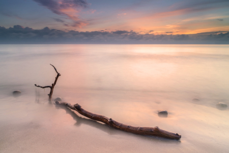 Bild-Nr: 11233668 am Strand auf der Insel.... Erstellt von: HeschFoto