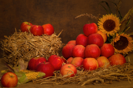 Bild-Nr: 11233908 Stillleben im Herbst Erstellt von: HeschFoto